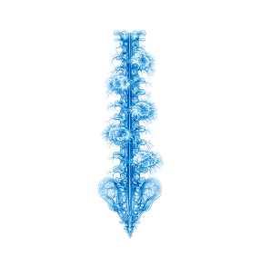 Όγκοι Σπονδυλικής Στήλης